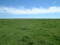 #8: View to the North