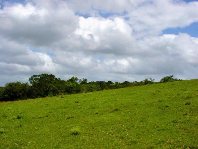 Looking South from the Confluence Point