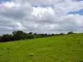 #3: Looking South from the Confluence Point