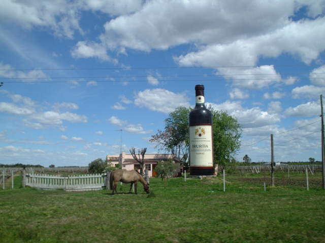 We passed several vineyards on the way