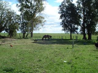 #1: The confluence seen from the hacienda, it is in the direction of the horse