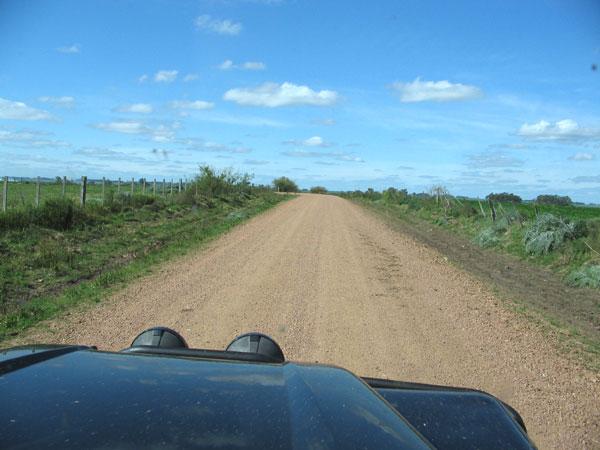 Foto del camino que llega hasta la estancia.