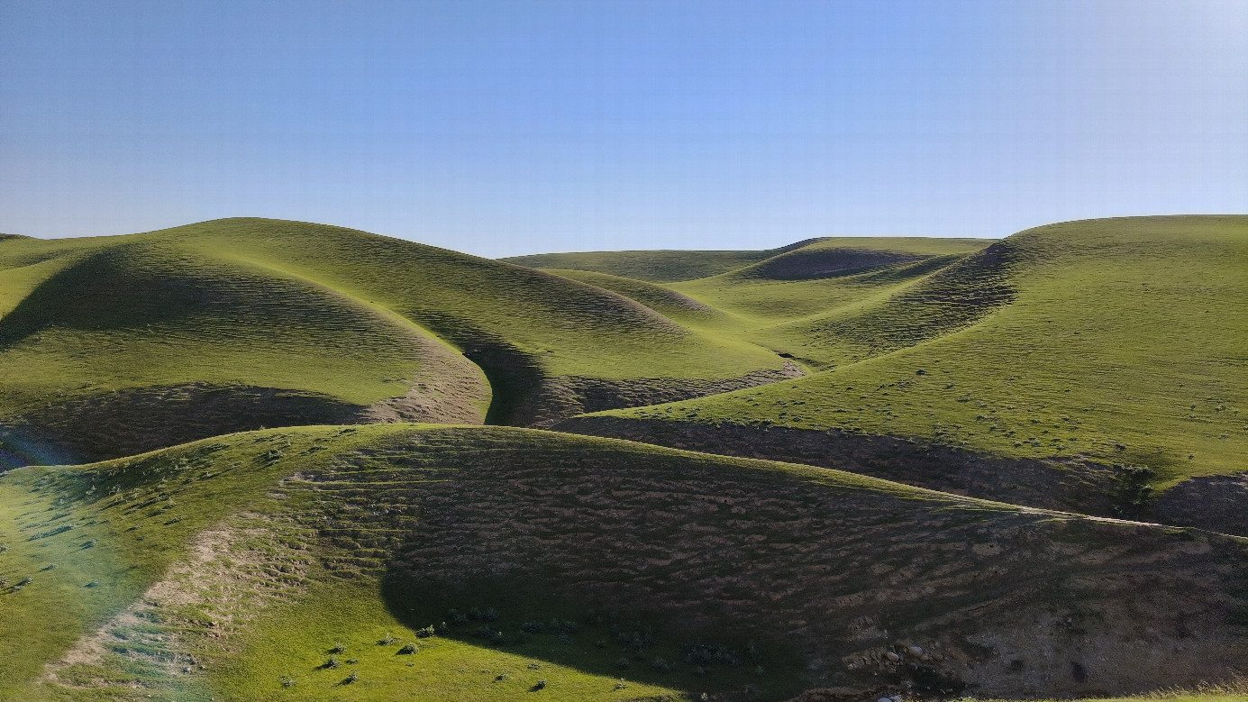 Typical view