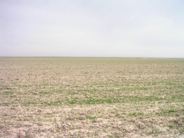 West