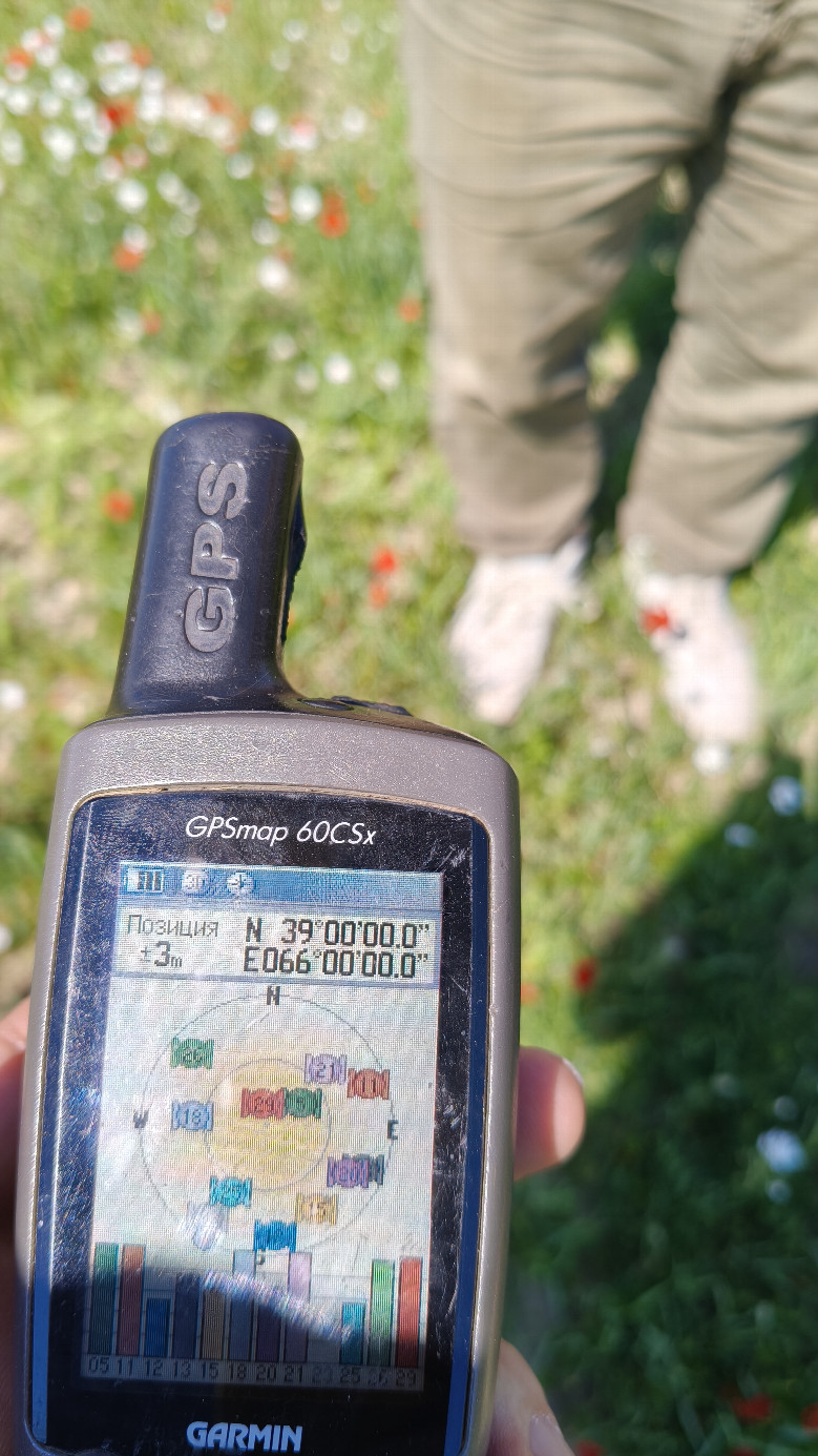 GPS reading
