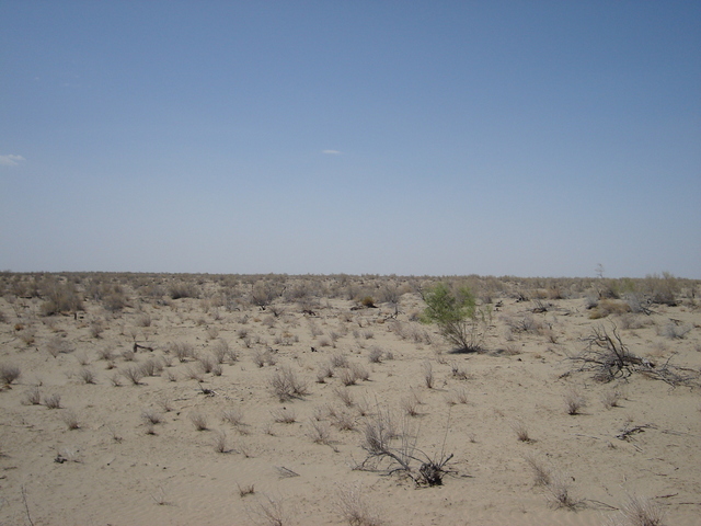 from the confluence looking north