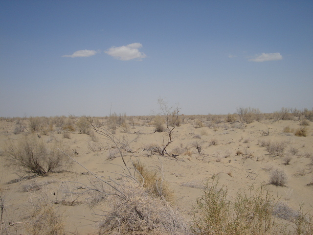 from the confluence looking west