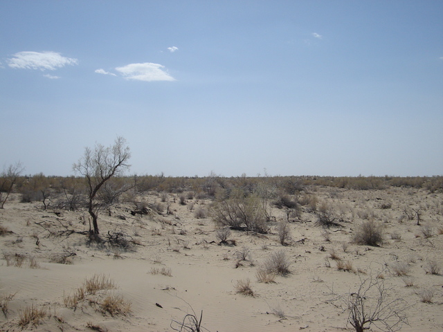 from the confluence looking east