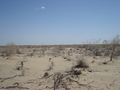 #4: from the confluence looking south