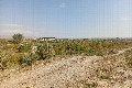 Visit #2: [26-Oct-23]