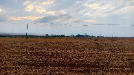 #2: West view