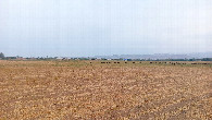 #4: South-east view