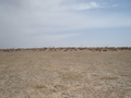 #3: from the confluence looking north