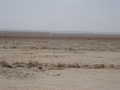 #6: the car and a dust devil beside it