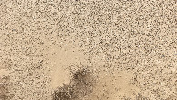 #5: Ground zero