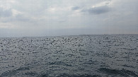 #3: South view