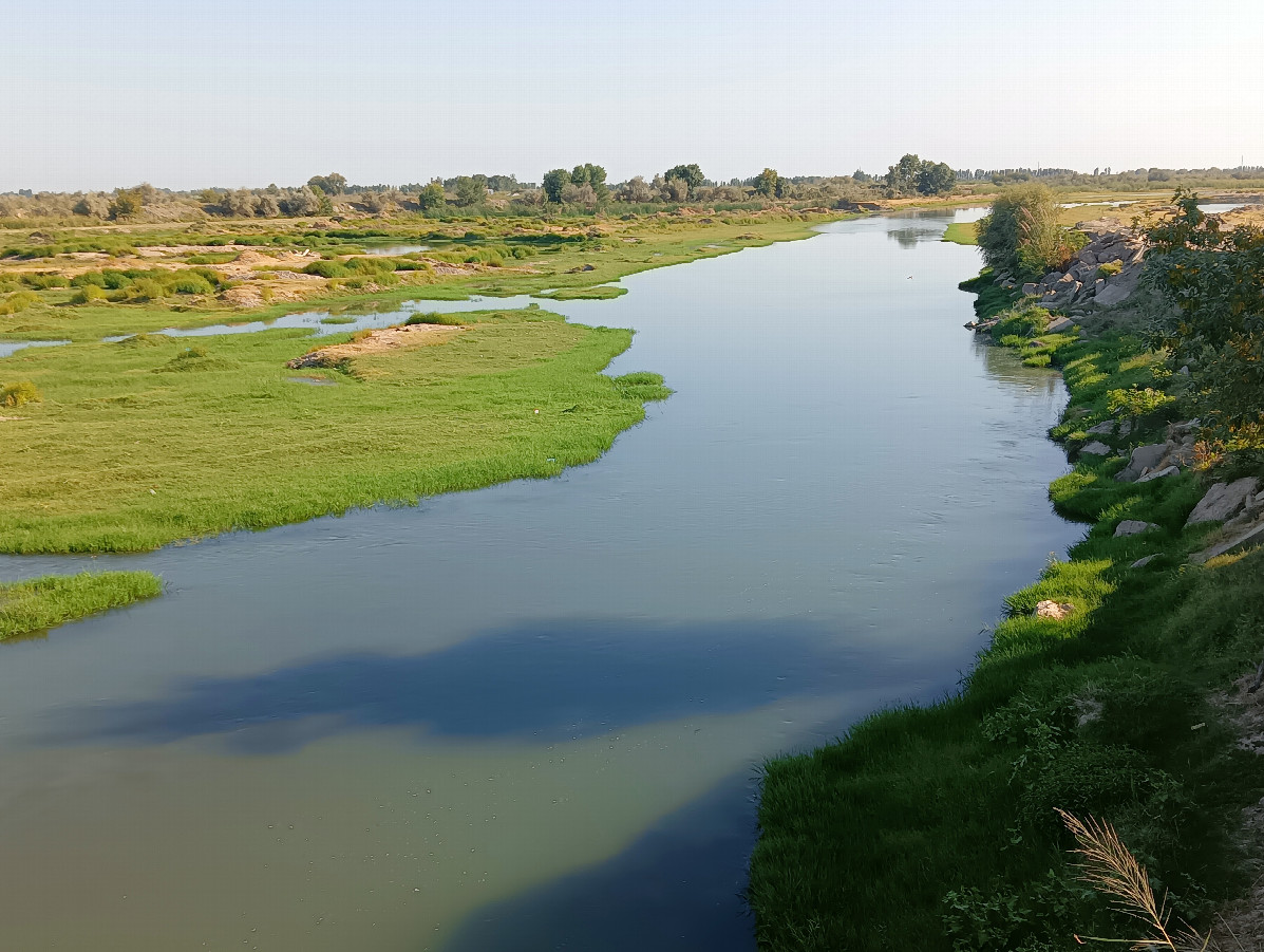 Chirchik river near CP