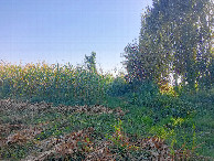 #2: South view