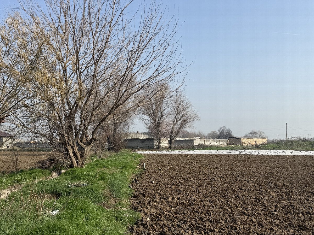 The confluence from 10 m distance