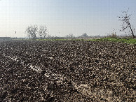 #2: View to the South 