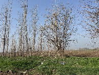 #3: View to the West 