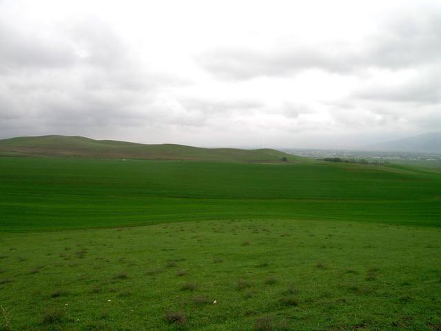 East view