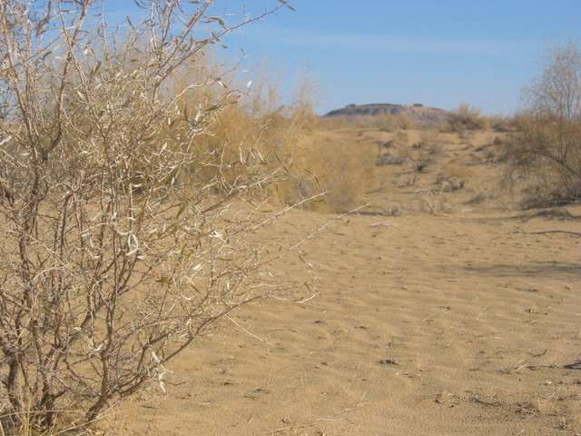 Close-Up View of the Confluence