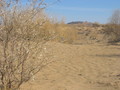 #6: Close-Up View of the Confluence