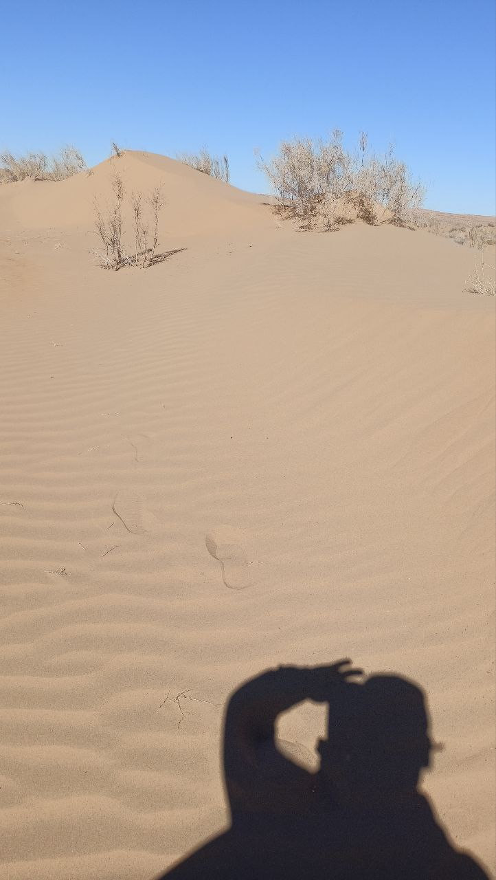 Sand dune