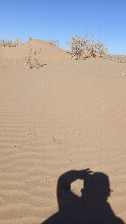 #9: Sand dune