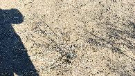#6: Ground zero