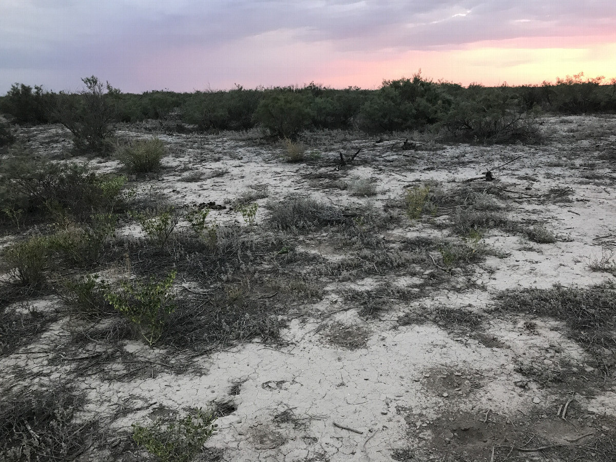 salinated soil at confluence point