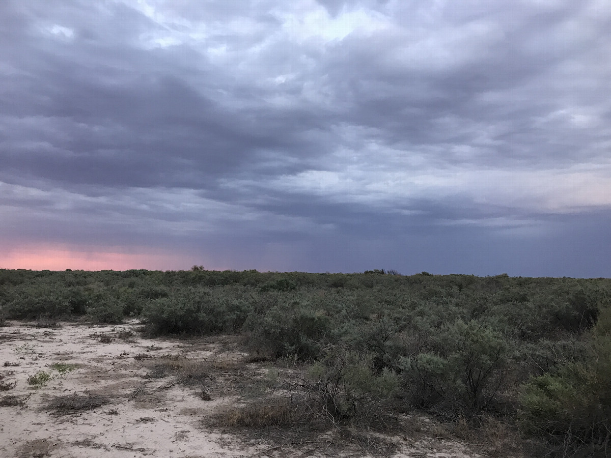 salinated soil and scrubs to the North