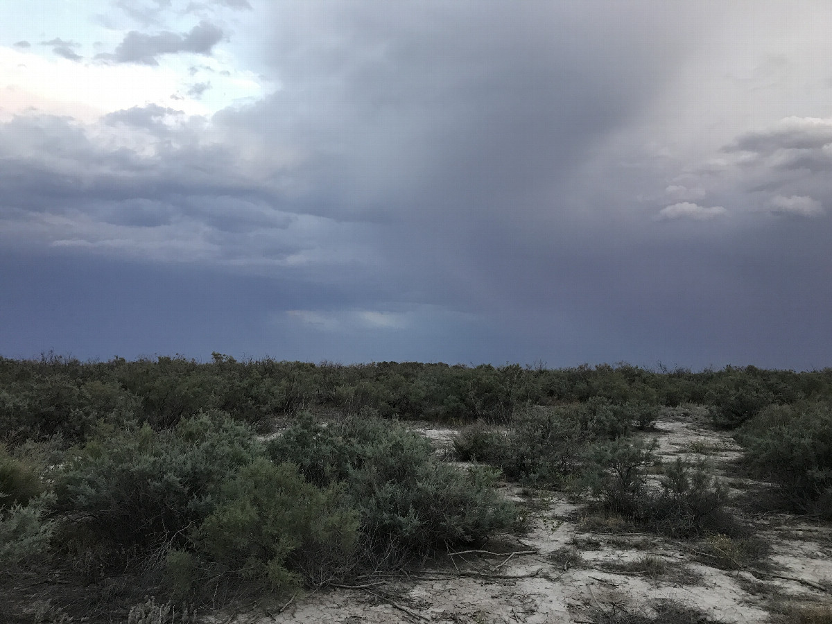 salinated soil and scrubs to the East