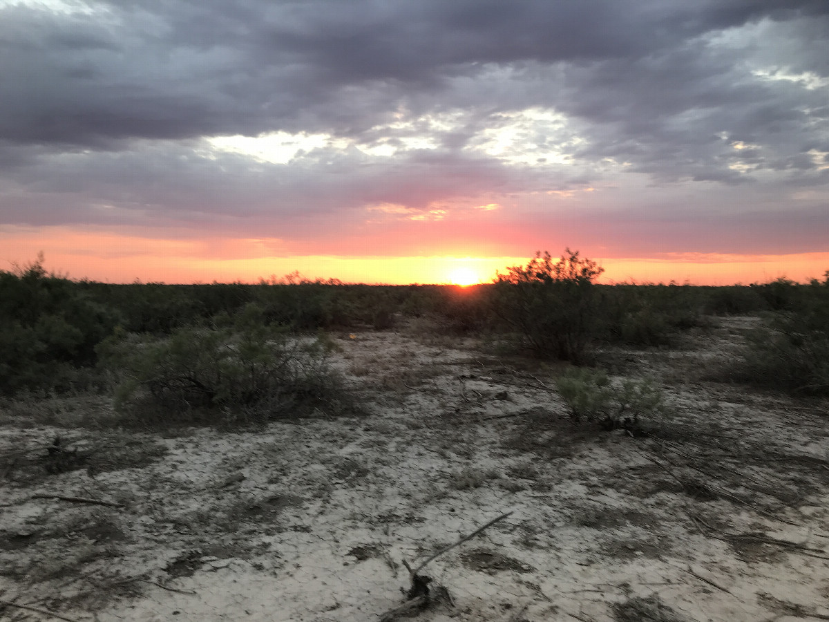 salinated soil and scrubs to the sundown