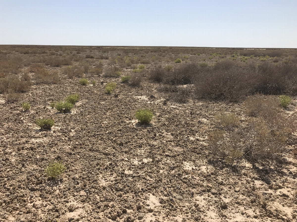 Ustyurt Plateau eastward