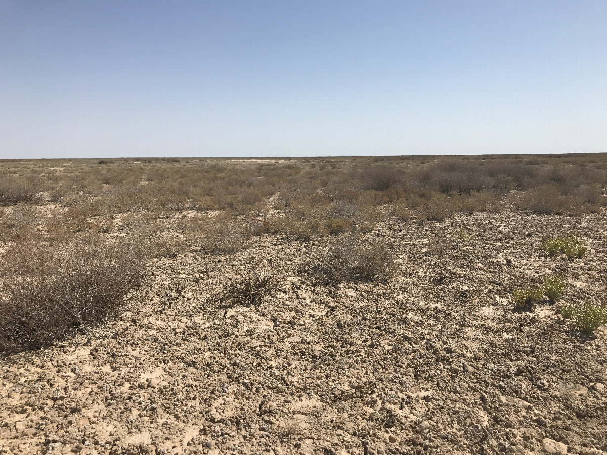 Ustyurt Plateau northward