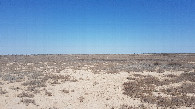 #4: Ustyurt Plateau eastward