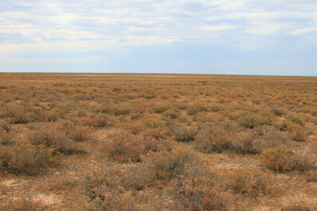 At Ustyurt Plateau westward