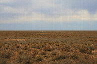 #3: At Ustyurt Plateau southward