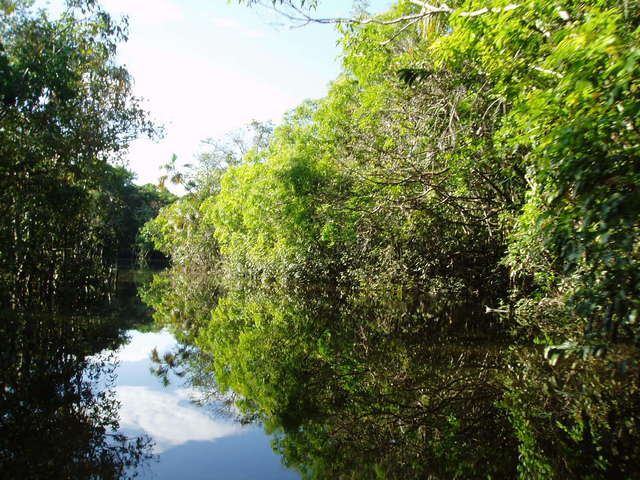 THE SPECTACULAR GUINARE CREEK TO GO TO THE PIAROA COMMUNITY