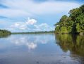 #2: EAST VIEW, UPSTREAM VENTUARI RIVER