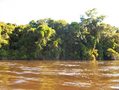 #3: VIEW TO SOUTH, THE CONFLUENCE IS 33 MTS INSIDE THE AMAZON JUNGLE IN THE YACAPANA NATIONAL PARK