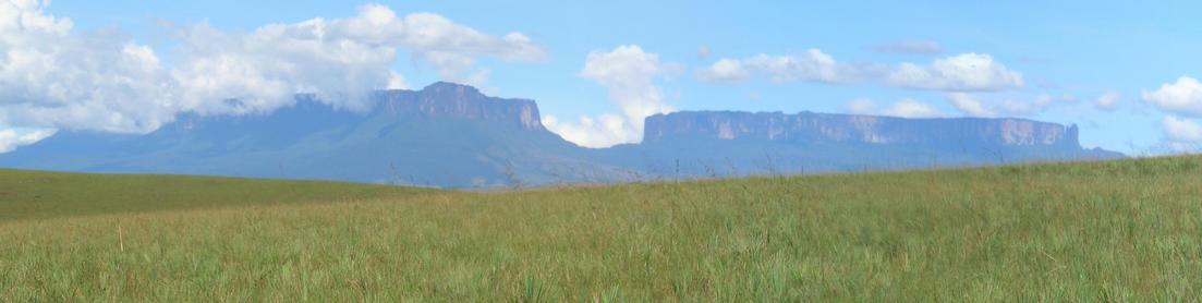 Kukenán & Roraima Tepui – view 1.77km from CP