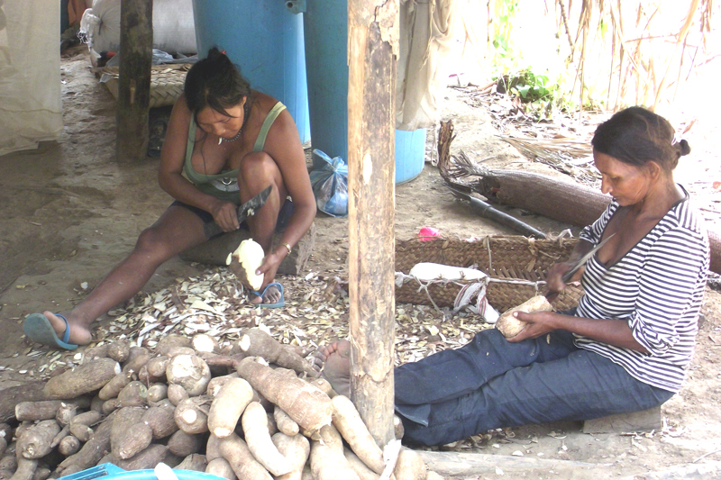 Preparing food (casabe cake or bread) with yucca