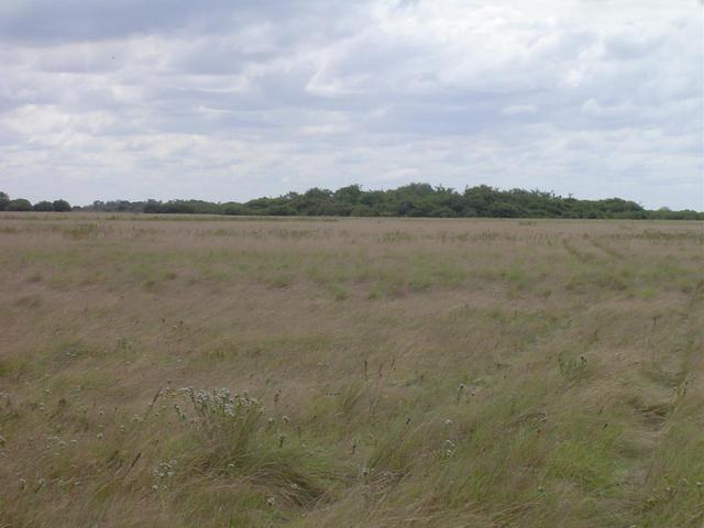 Confluence view from the North