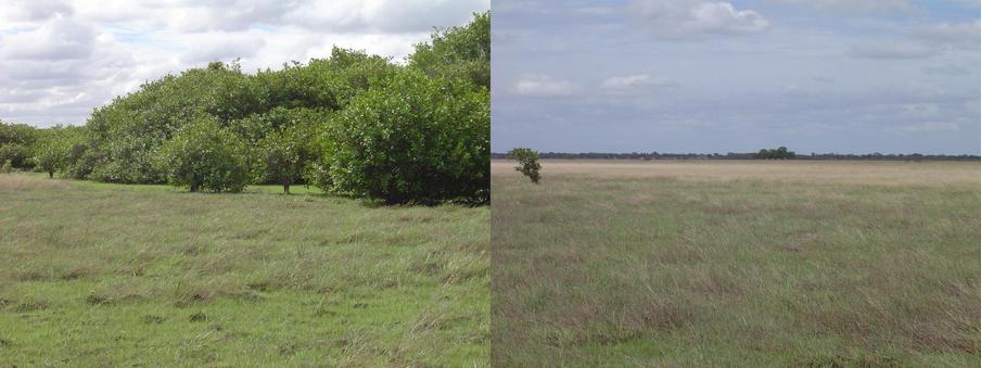 View to the South & West. See how close is the swamp South of CP