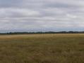 #2: VIEW TO NORTH