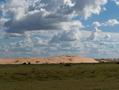 #7: TYPICAL DUNES IN APURE STATE