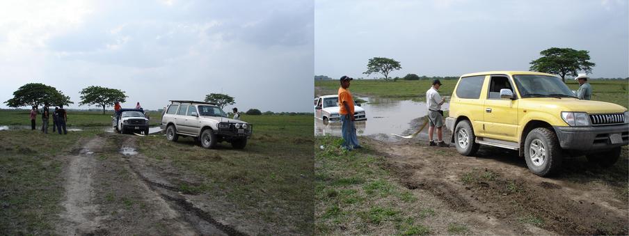 Pulling a truck and a pickup out from the river